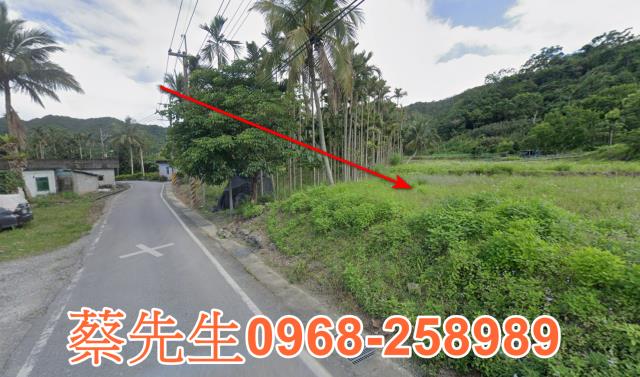 豐濱法拍農地-4