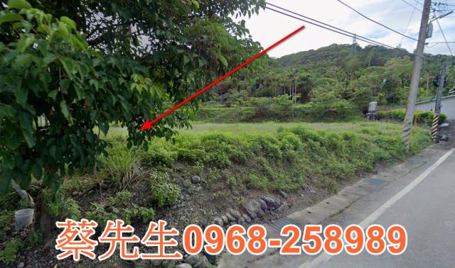 豐濱法拍農地-5
