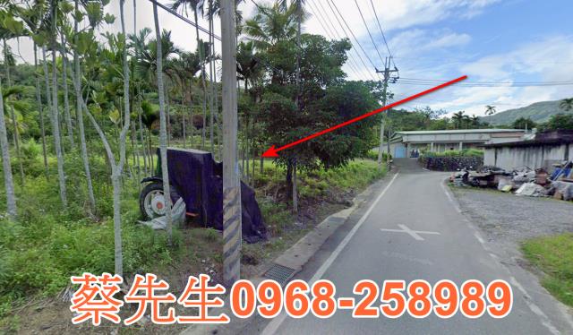 豐濱法拍農地-6
