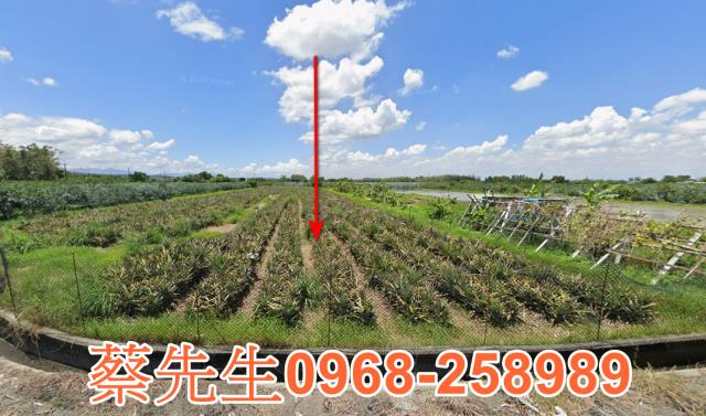 雲林斗六農地法拍-8