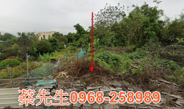 太保法拍建地-8