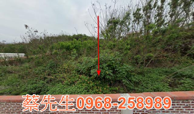 澎湖農地法拍-8