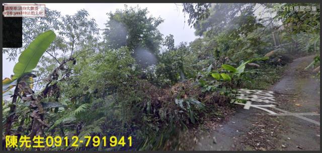 竹山法拍林地-1