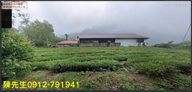 竹山法拍農地-7