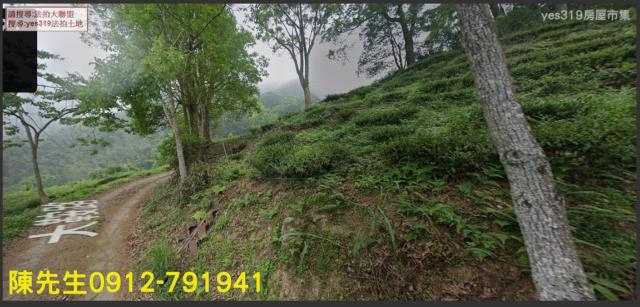 竹山法拍農地-2