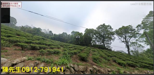 竹山法拍農地-7