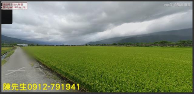 玉里農地法拍-1