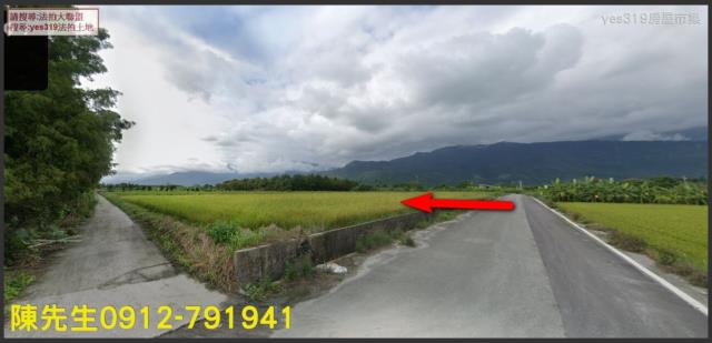 壽豐法拍農地-10