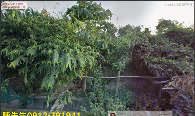 雲林農地法拍-8