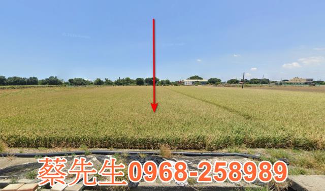 彰化農地拍賣-0