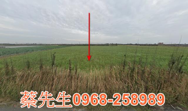 彰化大城農地法拍-0