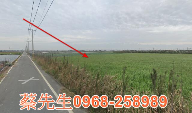 彰化大城農地法拍-3