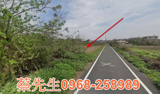 彰化大城拍賣農地-6