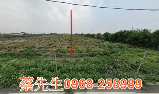 彰化芳苑農地法拍-0