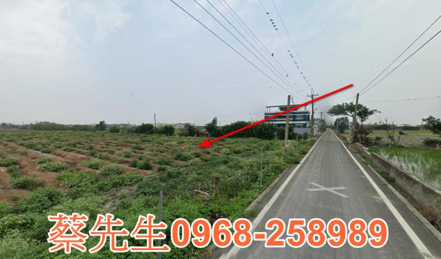 彰化芳苑農地法拍-6