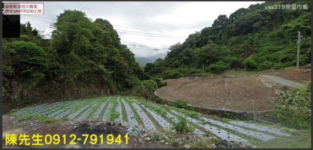 仁愛鄉農地法拍-0