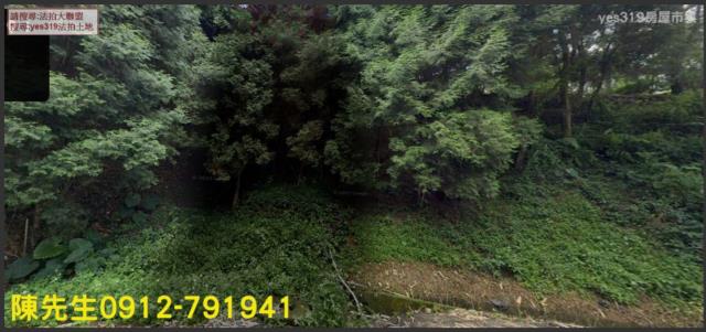 竹山山坡地拍賣-0