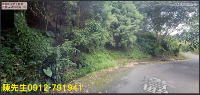 竹山山坡地拍賣-1