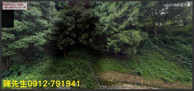 竹山山坡地拍賣-7