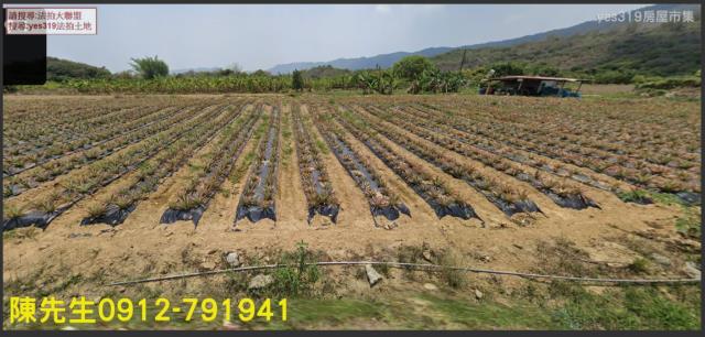 高雄內門農地法拍-8
