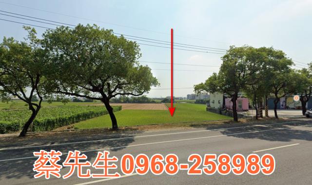 雲林斗南農地法拍-0