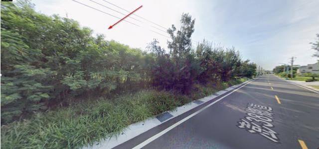 馬公法拍農地-3