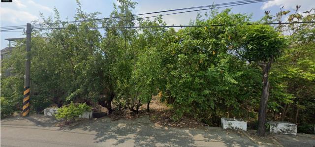 新市農地法拍-0