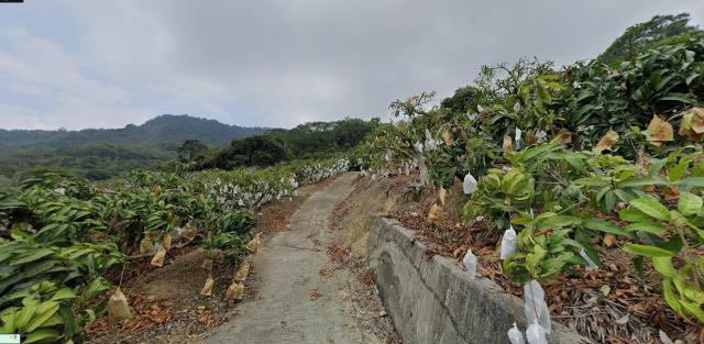 南化農地法拍-0