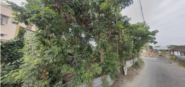 台南白河農地拍賣-12