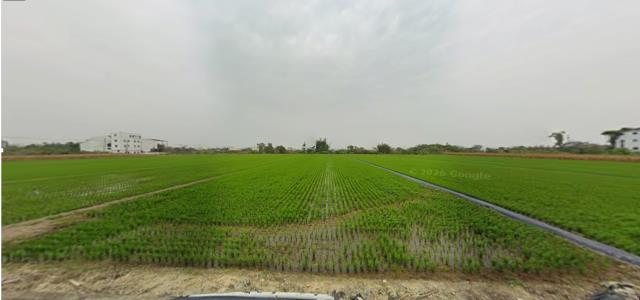 台南東山法拍農地-8