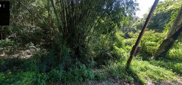 南投埔里法拍林地-7