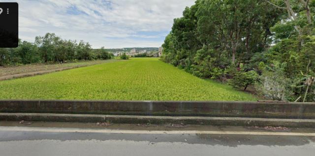 南投南投市法拍農地-0