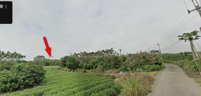 南投市農地法拍-2