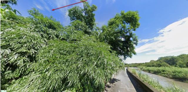 雲林農地法拍-12