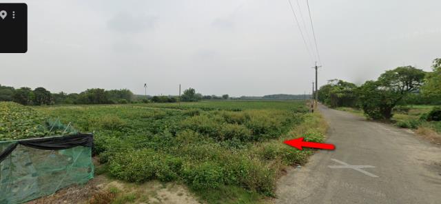 柳營法拍農地-2