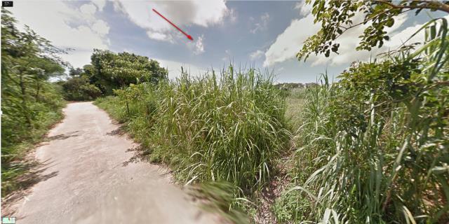 金門法拍種菜地-4