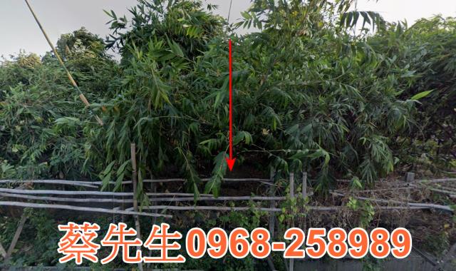 土庫拍賣農地-3