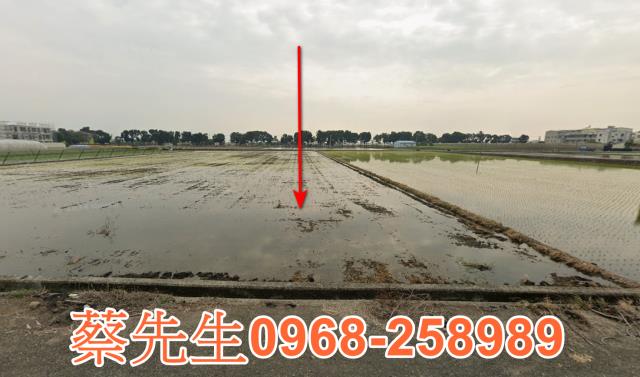 雲林莿桐農地法拍-8