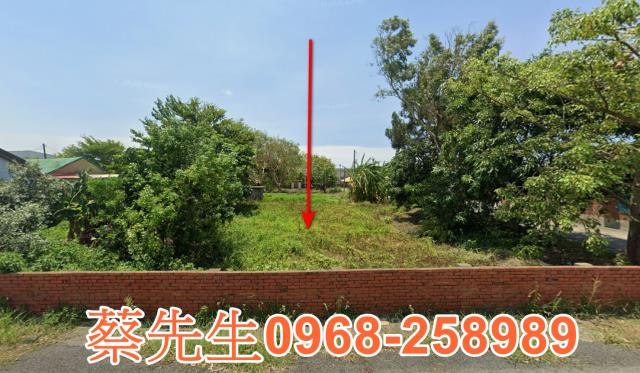 雲林建地拍賣-0