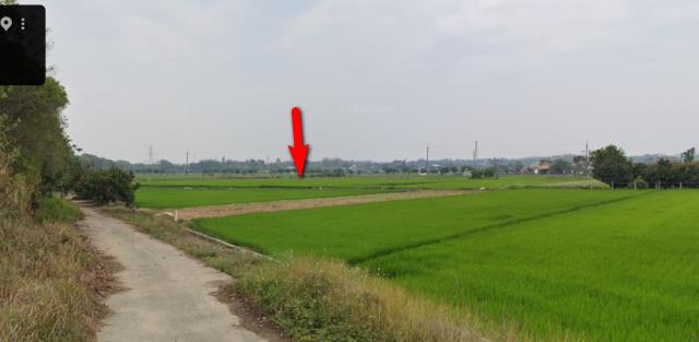 台南白河農地拍賣-7