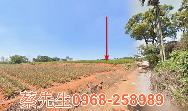 南投法拍農地-4