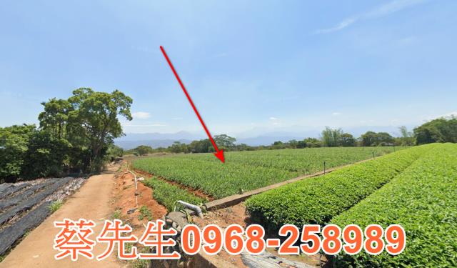 南投法拍農地-5