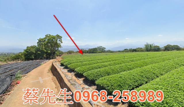 南投法拍農地-6