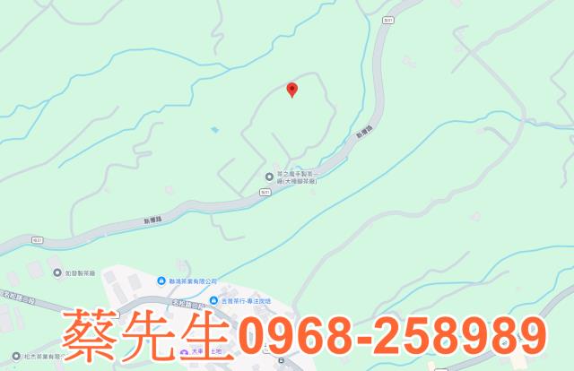 南投法拍農地-7