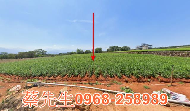 南投法拍農地-8