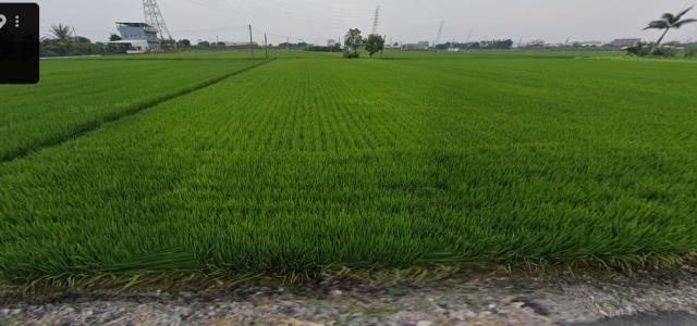 雲林土庫農地法拍-7
