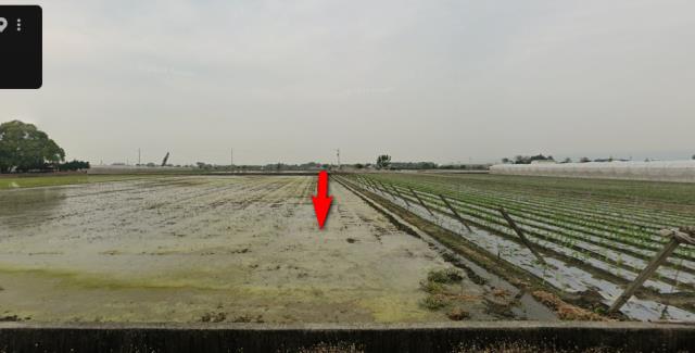 雲林莿桐法拍農地-0