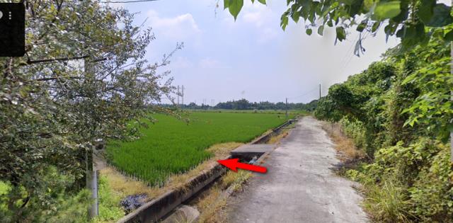 雲林斗南法拍農地-2