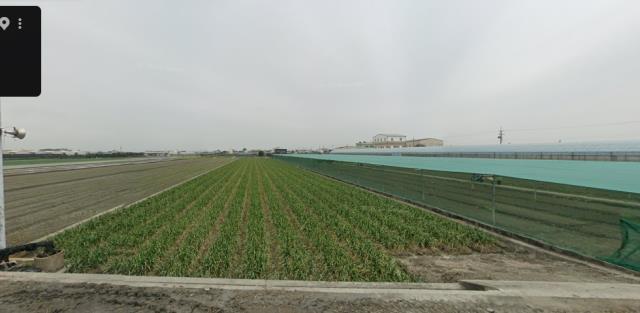 雲林西螺法拍農地-0