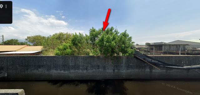 雲林口湖建地法拍-9